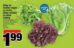 Super C laitue en feuilles rouges ou vertes, laitue romaine ou laitue iceberg offer