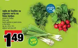 Super C radis en feuilles ou oignons verts ou fines herbes offer