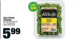 Super C laitue Attitude biologique offer
