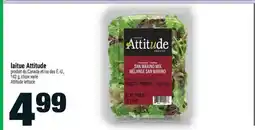 Super C laitue Attitude offer