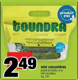Super C mini concombres offer