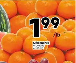 Val-Mont Clémentines Argentine offer