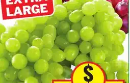 Food Basics GREEN OR RED SEEDLESS GRAPES offer