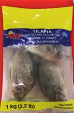 Food Basics NORTHERN KING WHOLE TILAPIA OR GOURMET THAI SHRIMP offer