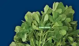 Food Basics SPINACH BUNCH OR METHI LEAVES offer