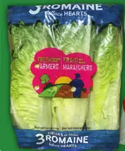 Food Basics ROMAINE HEARTS OR SWEET ASSORTED PEPPERS offer