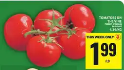 Food Basics TOMATOES ON THE VINE offer