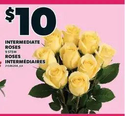 Valu-mart ROSES INTERMÉDIAIRES, 9 STEM offer