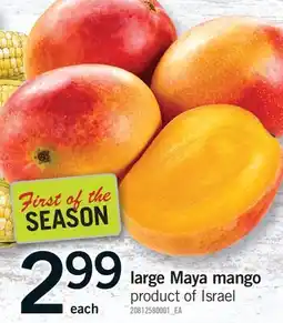 Fortinos LARGE MAYA MANGO offer