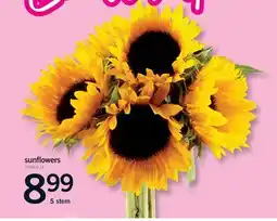 Fortinos SUNFLOWERS, 5 STEM offer