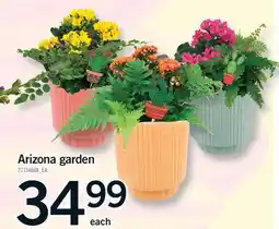 Fortinos ARIZONA GARDEN offer