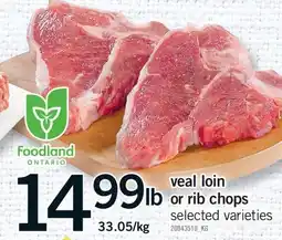 Fortinos VEAL LOIN OR RIB CHOPS offer