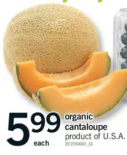 Fortinos ORGANIC CANTALOUPE offer