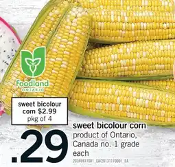 Fortinos SWEET BICOLOUR CORN offer