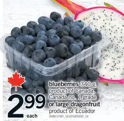 Fortinos BLUEBERRIES 340 G, OR LARGE DRAGONFRUIT offer