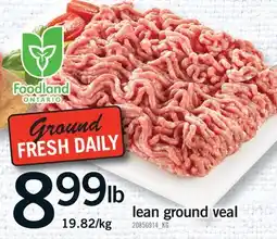Fortinos LEAN GROUND VEAL offer