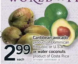 Fortinos CARIBBEAN AVOCADO OR WATER COCONUTS offer