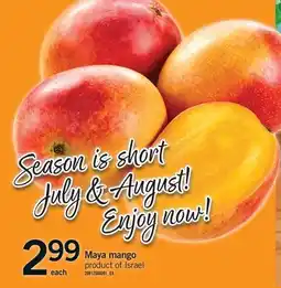 Fortinos MAYA MANGO offer