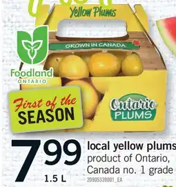 Fortinos LOCAL YELLOW PLUMS offer