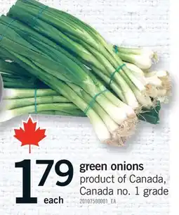 Fortinos GREEN ONIONS offer