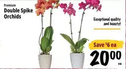 Farm Boy Premium Double Spike Orchids offer