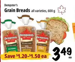 Farm Boy Dempster's Grain Breads offer