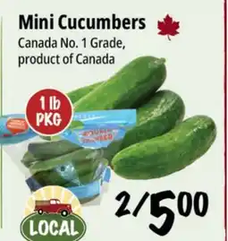 Farm Boy Mini Cucumbers offer
