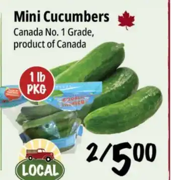 Farm Boy Mini Cucumbers offer