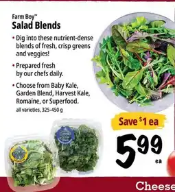 Farm Boy Farm Boy Salad Blends offer