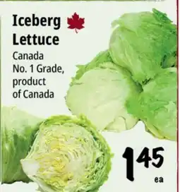 Farm Boy Iceberg Lettuce offer