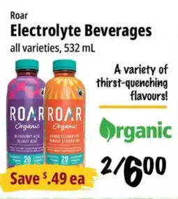 Farm Boy Roar Electrolyte Beverages offer