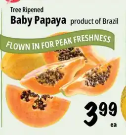 Farm Boy Tree Ripened Baby Papaya offer