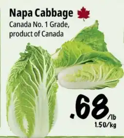 Farm Boy Napa Cabbage offer