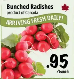 Farm Boy Bunched Radishes offer