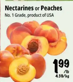 Farm Boy Nectarines or Peaches offer