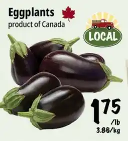 Farm Boy Eggplants offer
