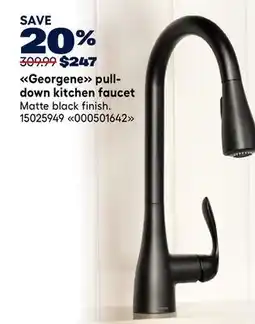RONA Georgene pull- down kitchen faucet offer