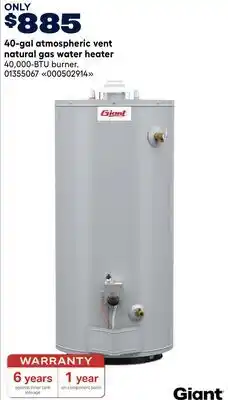 RONA Giant 40-gal atmospheric vent natural gas water heater offer
