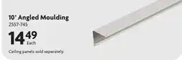 Home Hardware 10' Angled Moulding Suspended Ceiling Grid offer