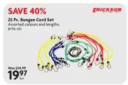 Home Hardware 25 Pc. Bungee Cord Set offer