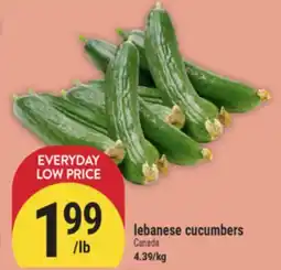 Marché Adonis lebanese cucumbers offer