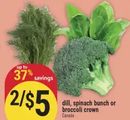 Marché Adonis Dill, spinach bunch or broccoli crown offer