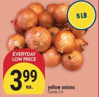Marché Adonis yellow onions offer