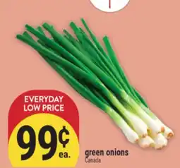Marché Adonis green onions offer