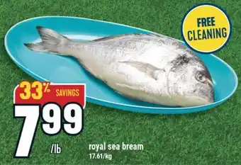 Marché Adonis royal sea bream offer
