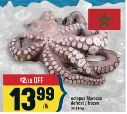 Marché Adonis Octopus Marocco offer