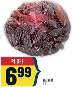 Marché Adonis Mussel offer
