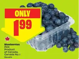 FreshCo Blueberries Pint Product of Canada, Canada No. 1 offer
