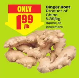 FreshCo Ginger Root Product of China 4.39/kg offer