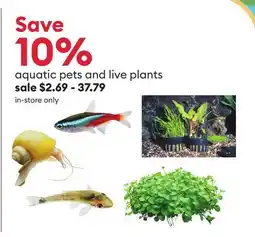 Petsmart aquatic pets and live plants offer